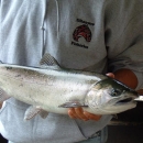 Kitwanga River Salmon Enumeration Facility