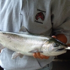 Kitwanga River Salmon Enumeration Facility