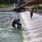 Kitwanga River Salmon Enumeration Facility