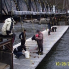 Kitwanga River Salmon Enumeration Facility