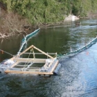 Kitwanga Smolt Enumeration Facility