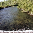 Kitwanga River Salmon Enumeration Facility