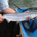 Kitwanga River Salmon Enumeration Facility